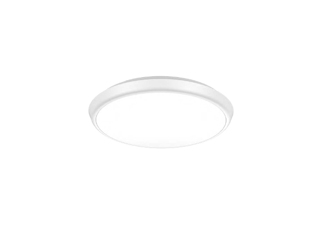 LED Ceiling Light